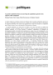 Image document