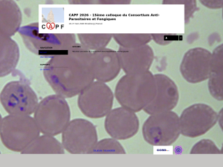 Accéder au site de la conférence