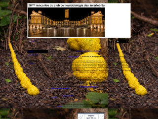 Accéder au site de la conférence