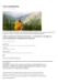 Deposit thumbnail