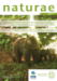 Deposit thumbnail