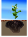 Deposit thumbnail